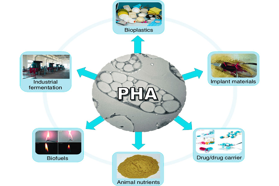Application of PHA Biodegradable Materials